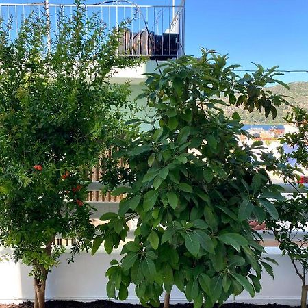 Citrus Apartment Argostoli  Ngoại thất bức ảnh