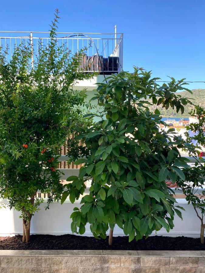 Citrus Apartment Argostoli  Ngoại thất bức ảnh